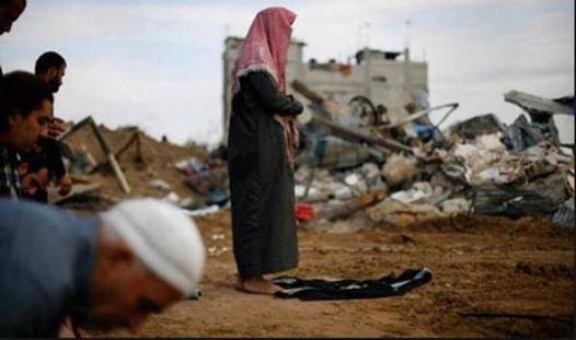 1781991_1381512888791588_811151887577124233_n